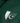 PAKISTAN FLEECE ZIPPER HOODIE-GREEN - Premium from Combaxx - Just Rs.5000! Shop now at Combaxx